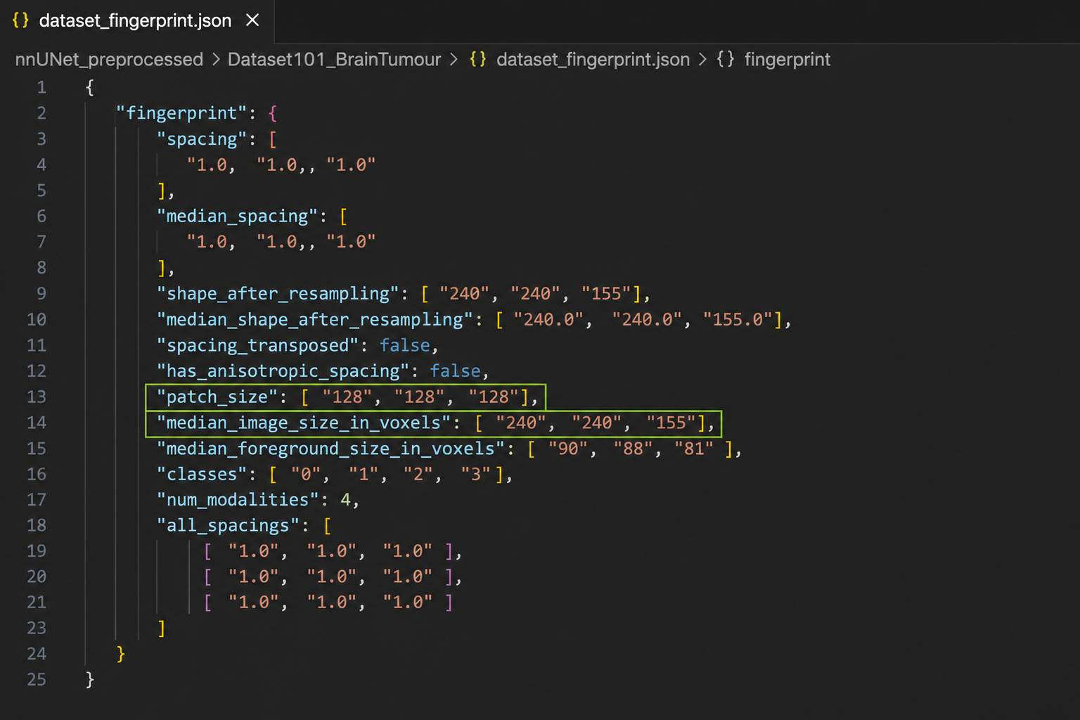 real dataset_fingerprint.json / plans.json excerpt